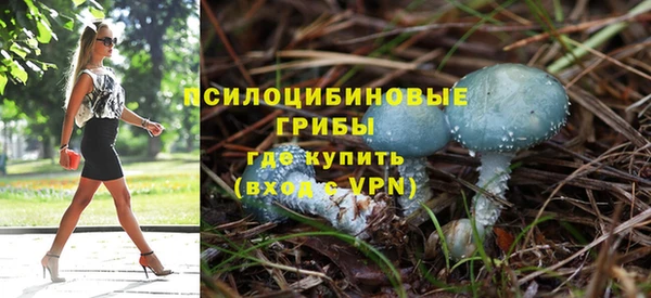 ALPHA PVP Алексеевка
