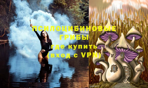 тгк Абинск