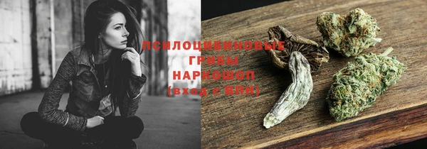 ГАЛЛЮЦИНОГЕННЫЕ ГРИБЫ Лиски