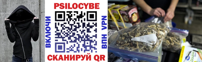 Галлюциногенные грибы Cubensis  хочу   Татарск 